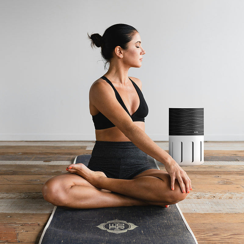 Air Klyna Luftreiniger Designbezug "Wave"