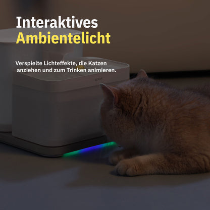 Welly – Smart Cat Drinking Fountain