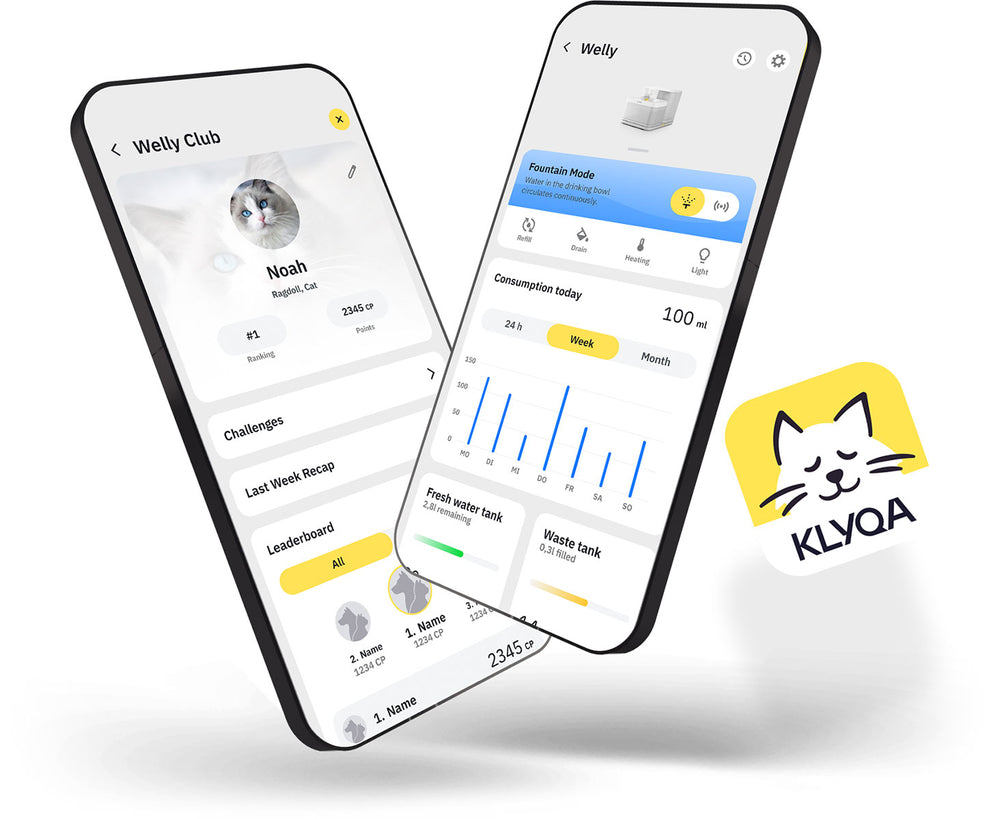 Klyqa Pet App 與寵物智慧照顧示意