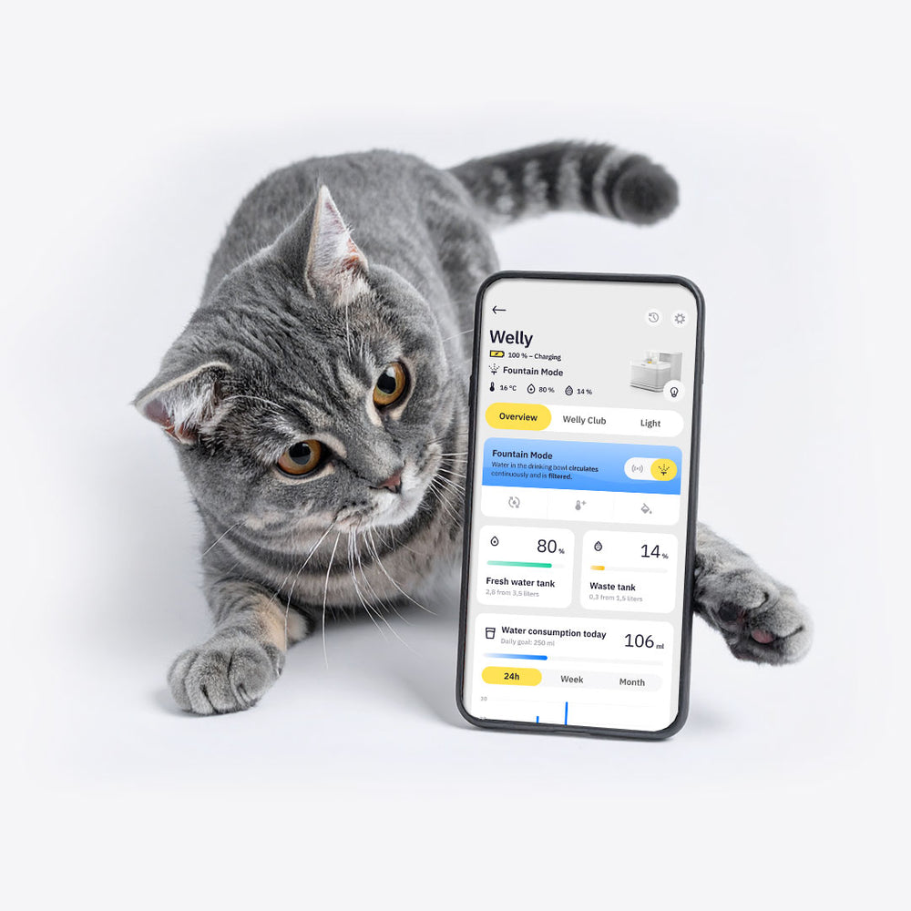 Klyqa Pet App 與 Welly 飲水機