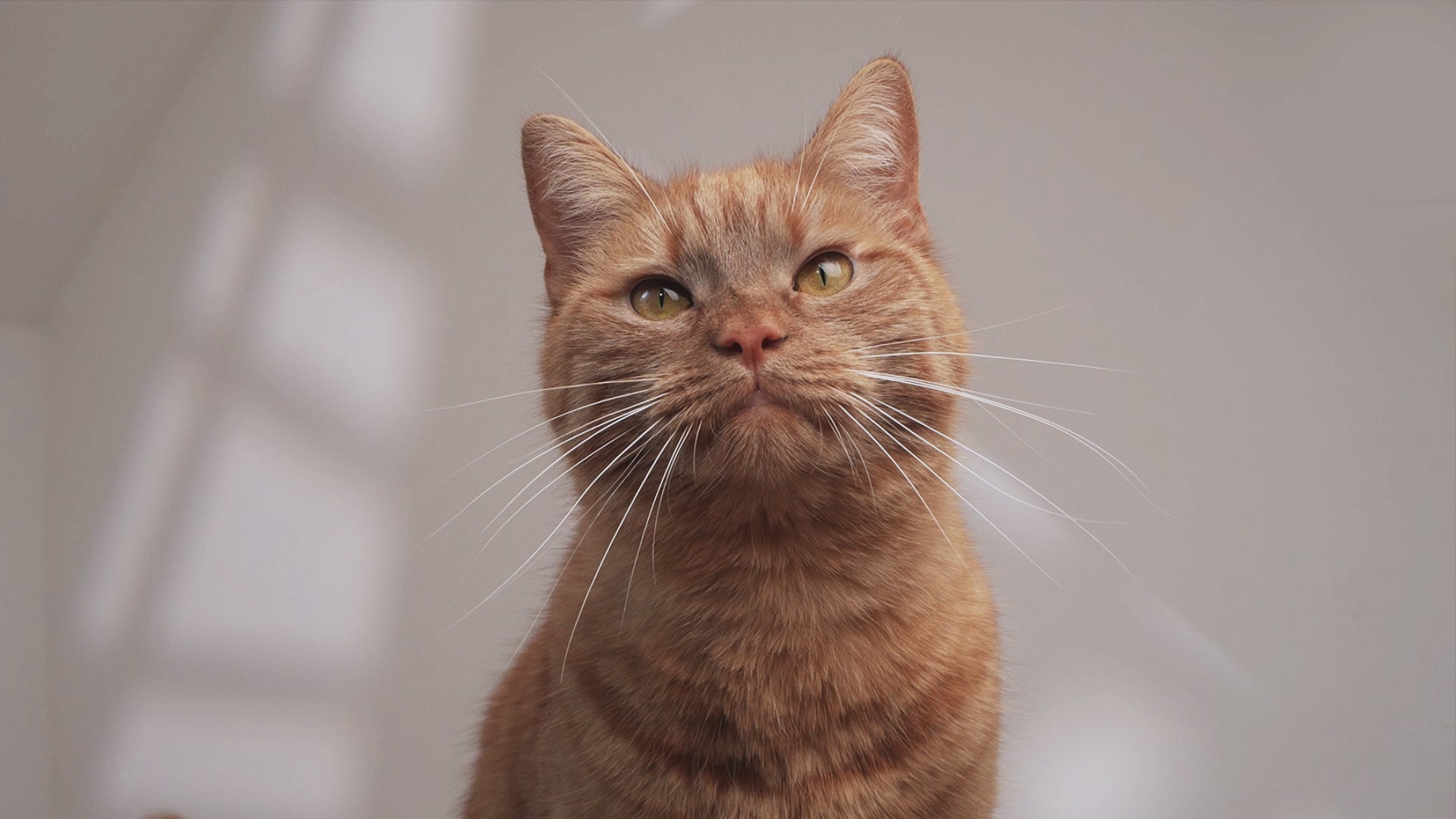 Video laden: 