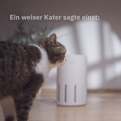 Air Klyna S air purifier