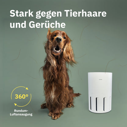 Air Klyna S air purifier